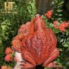 Thiềm Thừ Tài Lộc Ngự Nấm linh chi( gỗ Trắc đỏ đen quý hiếm) - dai-20cmx-rong-18cmx-cao-10cm